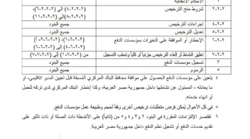 «البنك المركزي المصري» يحدد القواعد اللازمة لترخيص المؤسسات الأجنبية للدفع في مصر