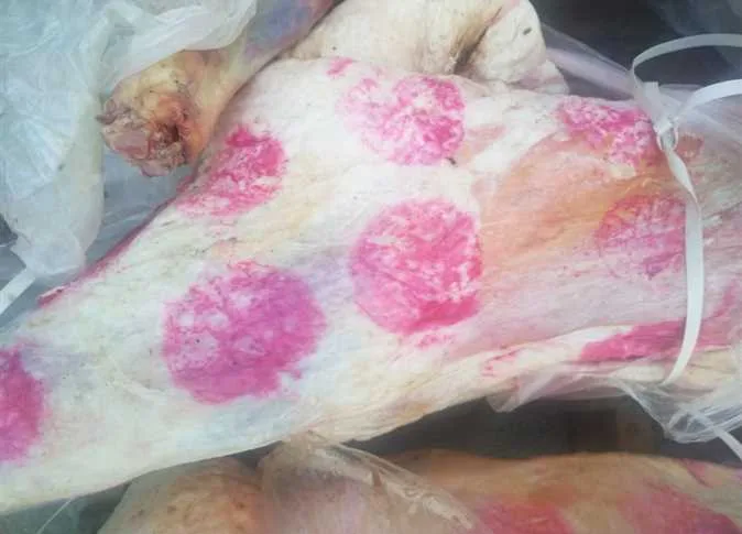 confiscation of 10 slaughtered goats outside government abattoirs and 800 kilograms of spoiled meat in Alexandria (photos) confiscation of 10 slaughtered goats outside government abattoirs and 800 kilograms of spoiled meat in Alexandria (photos)