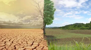 اليوم العالمي لمكافحة التصحر والجفاف: نداء لحماية كوكب الأرض