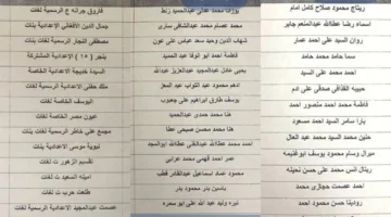 نجاح طلاب الإعدادية في الإسكندرية: سر التفوق يكمن في تنظيم الوقت والاستمرار في مراجعة الدروس بلا انقطاع