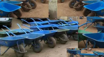حاصل على دكتوراه في بيولوجيا الأسماك أصبح عامل “درداقة” – فيديو