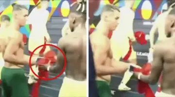 الصورة التي جذبت انتباه توماس غواسش خلال مباراة إسبانيا والبرتغال