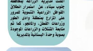 “الزراعة في كافة أنحاء مصر” من 10 إلى 16 يونيو الحالي