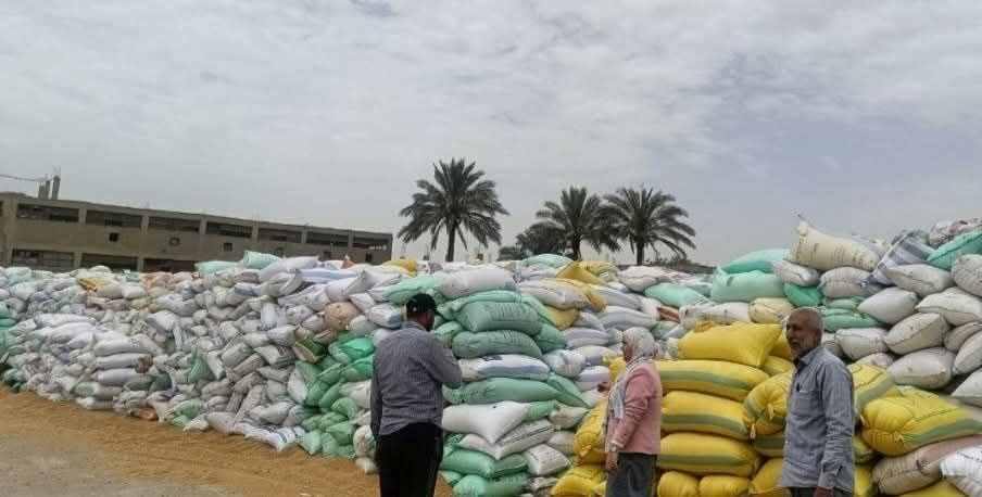 شون وصوامع محافظة الشرقية تستكمل استلام ٥٩٧٦٦٢ طن و٢٦١ كيلوغرام من القمح المحلي