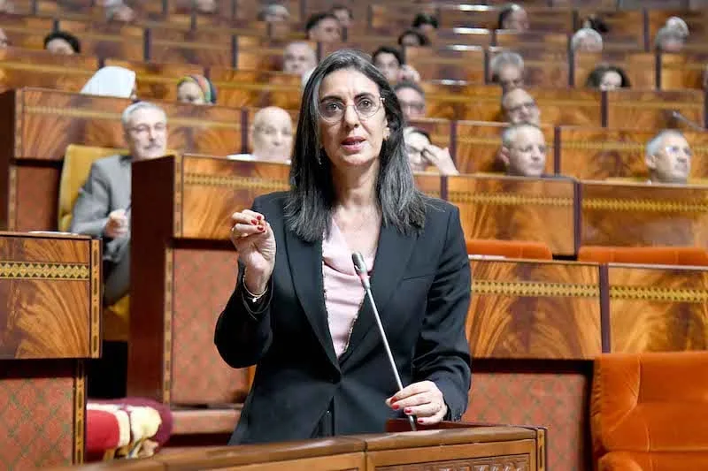 فتاح العلوي: الجهات الرقابية في المغرب أتلفت أكثر من ألف طن من السلع. فتاح العلوي: الجهات الرقابية في المغرب أتلفت أكثر من ألف طن من السلع.