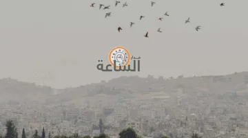 الجمعية الفلكية الأردنية: انطلاق فصل الصيف فلكيًا يوم السبت