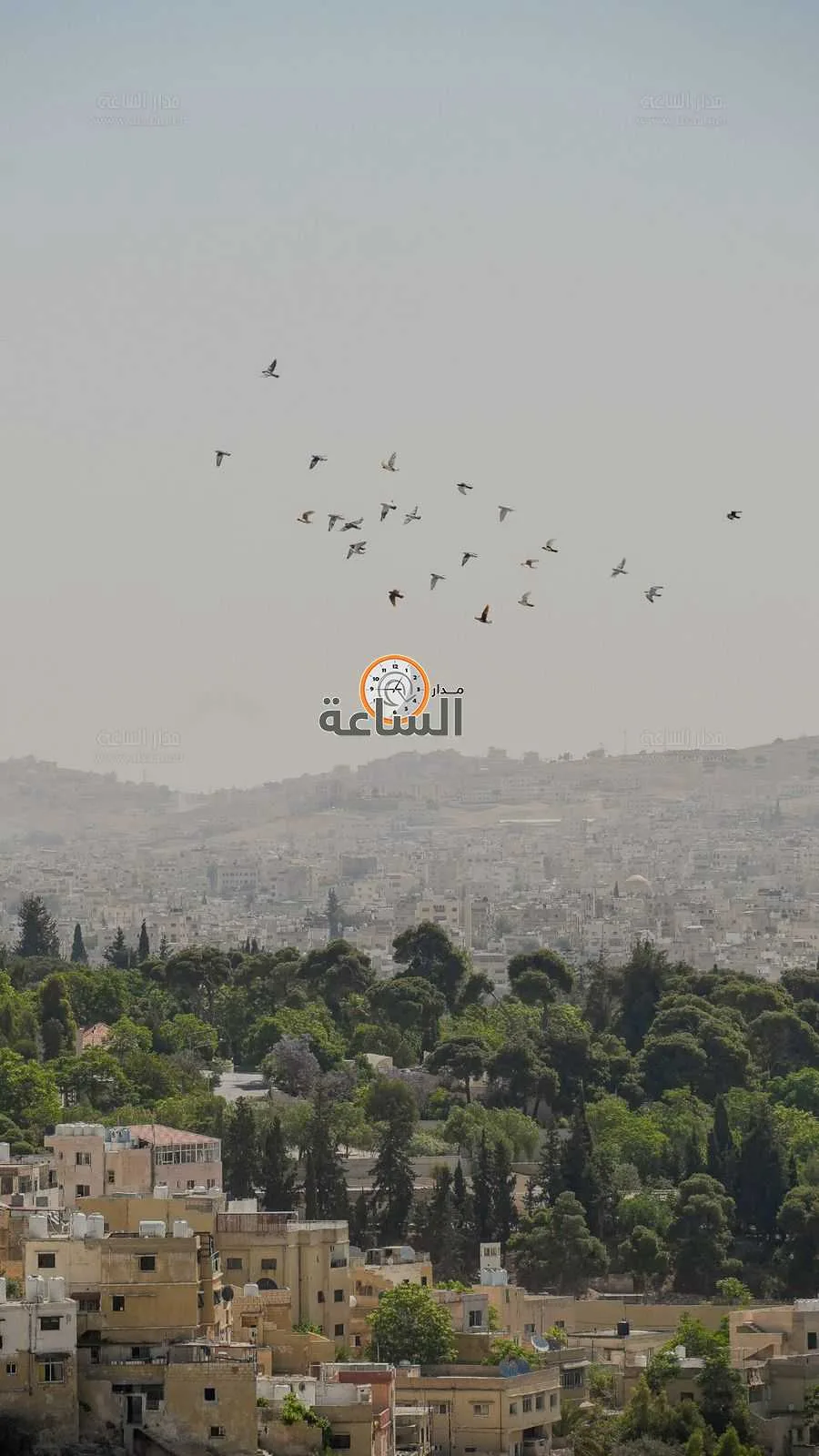الجمعية الفلكية الأردنية: انطلاق فصل الصيف فلكيًا يوم السبت الجمعية الفلكية الأردنية: انطلاق فصل الصيف فلكيًا يوم السبت