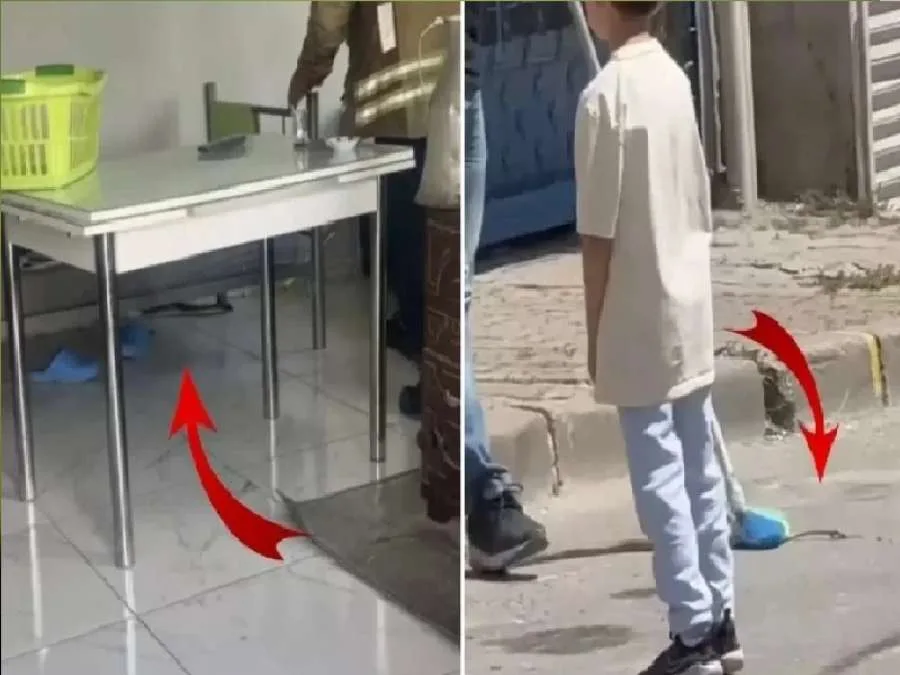 الزواحف تسيطر على إسطنبول.. هجمات الثعابين تسبب القلق في 7 مناطق الزواحف تسيطر على إسطنبول.. هجمات الثعابين تسبب القلق في 7 مناطق