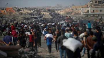 عدد الشهداء في غزة يقترب من 56 ألفًا