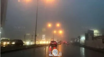 ضباب كثيف يغلف منطقة منيف.. وتحذيرات من الأرصاد (فيديو)