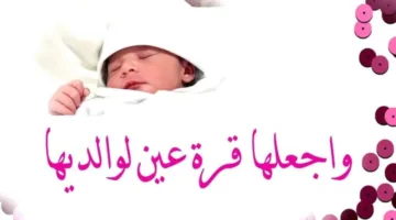 أحمد شفيق القعايدة: تكريم مبارك