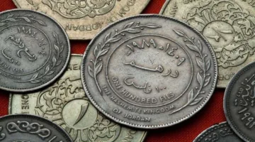فلس الريف يوفر الكهرباء لـ 238 موقعًا ومنزلًا في يونيو