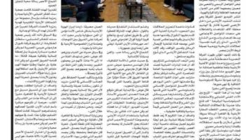 دعاء الزيود تبرز بصمتها الصحفية من القاهرة من خلال دبلوماسية ثقافية لافتة