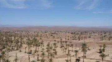 تنبؤات حالة الطقس ليوم السبت في المغرب