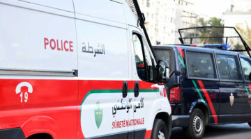 عناوين الأخبار: اعتقال شقيقين بتهمة الاعتداء على شخص وت damage سيارة.