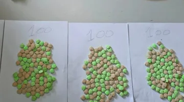 شبكة المخدرات تسقط في الخميسات