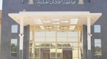 محافظة الوادي الجديد توضح أسباب نشر نتائج الشهادة الإعدادية عبر الإنترنت
