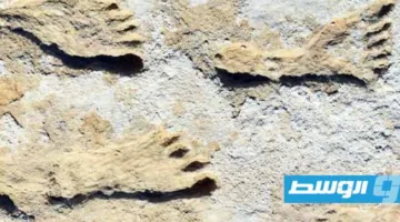 آثار أقدام في صحراء نيو مكسيكو تعيد تشكيل فهمنا لتاريخ البشرية في القارة الأمريكية