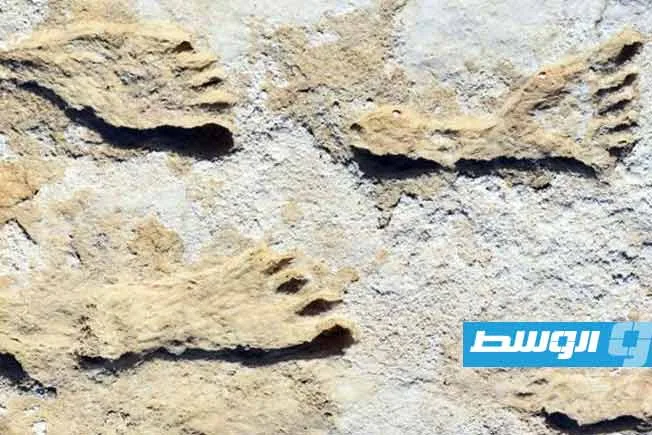 آثار أقدام في صحراء نيو مكسيكو تعيد تشكيل فهمنا لتاريخ البشرية في القارة الأمريكية آثار أقدام في صحراء نيو مكسيكو تعيد تشكيل فهمنا لتاريخ البشرية في القارة الأمريكية