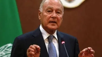 أبو الغيط يُندد بالهجمات الجوية الإسرائيلية على جنوب بيروت