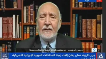 أبو شادي: الهجمات الإسرائيلية على إيران قد تنجم عنها مرحلة نووية خطيرة في المنطقة