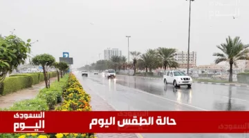أحوال الطقس في السعودية اليوم الثلاثاء 17 يونيو 2025: ارتفاع في درجات الحرارة وسماء صافية