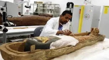 أخصائي ترميم: مصر تمتلك واحدًا من أحدث مراكز الترميم عالميًا في المتحف الكبير