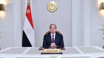 أسامة شلبي يتولى رئاسة مجلس الدولة ومحمد خليل الشناوي ينضم إلى هيئة النيابة الإدارية