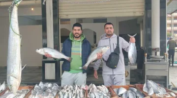 أسعار الأسماك اليوم في أسواق مطروح