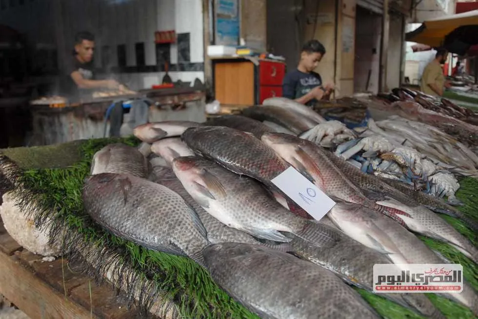 أسعار الأسماك في سوق العبور اليوم الثلاثاء: البلطي بـ83 جنيهًا أسعار الأسماك في سوق العبور اليوم الثلاثاء: البلطي بـ83 جنيهًا