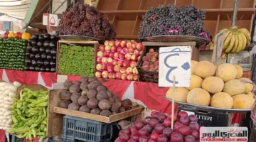 أسعار الخضار في أسواق مطروح: بدءًا من 7.5 جنيه للبطاطس