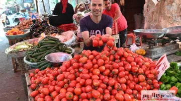 أسعار الخضروات في أسواق الأقصر اليوم، الأحد 15 يونيو 2025