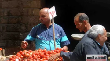 «أسعار الخضروات في أسواق الإسكندرية اليوم الاثنين 16 يونيو 2025: الكوسة بـ 25 جنيها والبطاطس بـ 5 جنيهات»