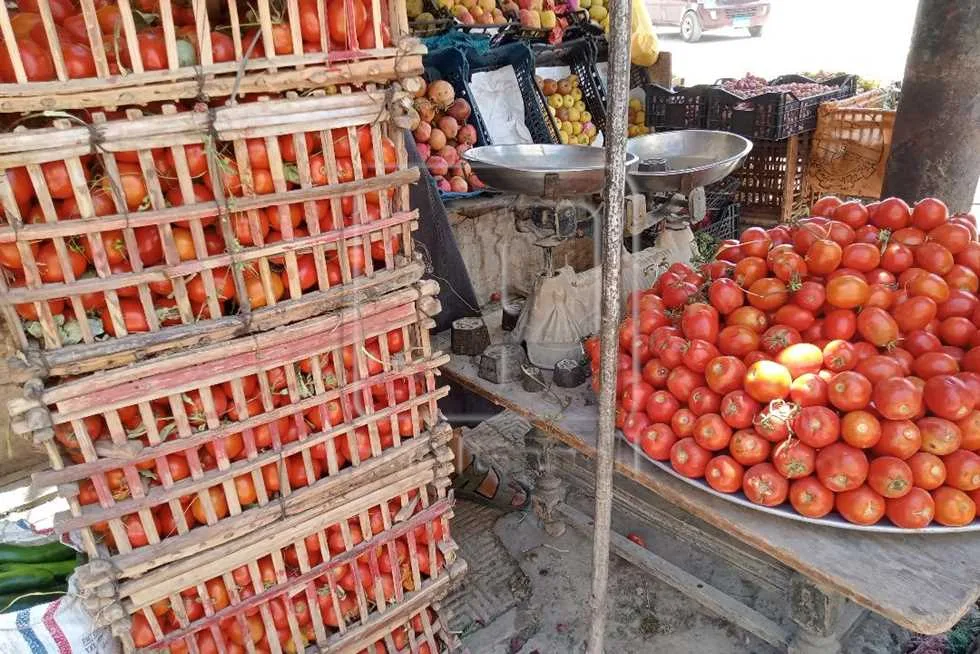 أسعار الخضروات في أسواق المنيا اليوم، الأربعاء 4 يونيو 2025، قبل ساعات من عيد الفطر