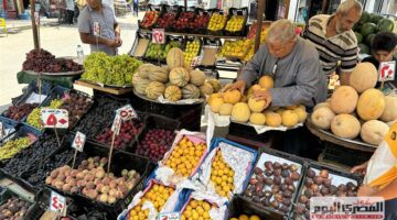 أسعار الفاكهة في أسواق الإسكندرية ليوم الأربعاء 18 يونيو 2025