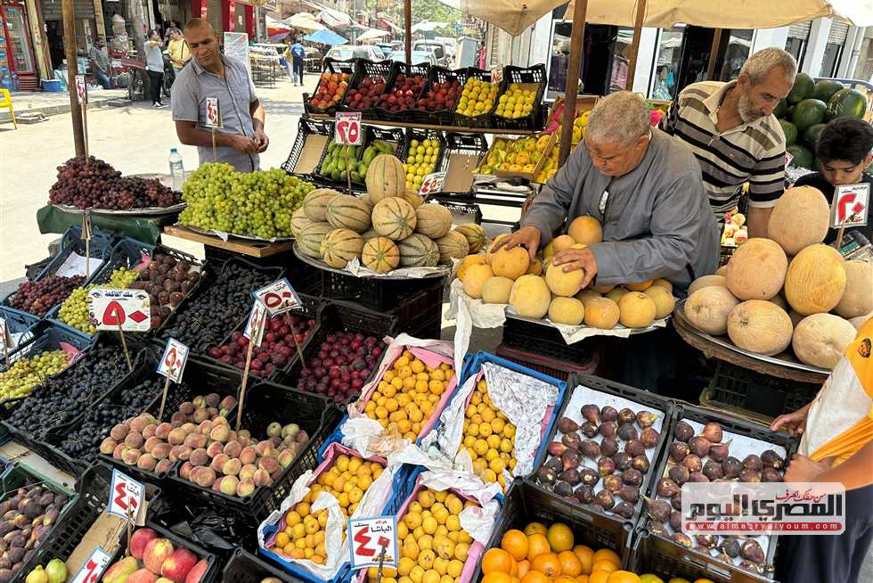أسعار الفاكهة في أسواق الإسكندرية ليوم الأربعاء 18 يونيو 2025 أسعار الفاكهة في أسواق الإسكندرية ليوم الأربعاء 18 يونيو 2025