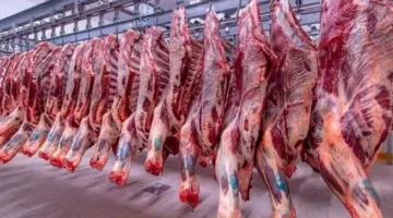 أسعار اللحوم المحلية والمجمدة في مصر يوم الإثنين 16 يونيو 2025: الأسواق تستعيد توازنها
