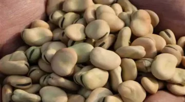 أسعار المواد الأساسية في الأسواق اليوم 23 يونيو 2025 (من مصدر رسمي)