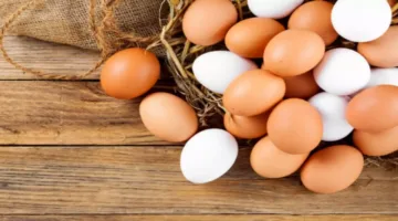أسعار كرتونة البيض الأحمر والبلدي اليوم الإثنين 9 يونيو بعد انتهاء عطلة العيد