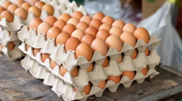 أسعار كرتونة البيض البلدي اليوم الثلاثاء 10 يونيو.. الأحمر بـ139 جنيهاً