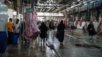 أضاحي العيد في مصر: ارتفاع الأسعار يرفع من طلب “الذبح المشترك”