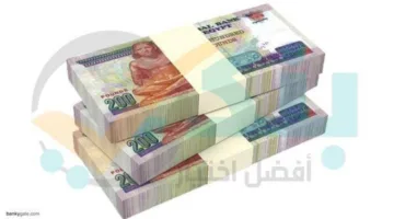 أفضل 5 حسابات توفير للشباب بعائد شهري في البنوك: “المميزات والتفاصيل”