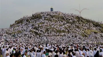 أمين الفتوى: الوقوف في عرفة يذكّرنا بلقاء الله يوم القيامة.