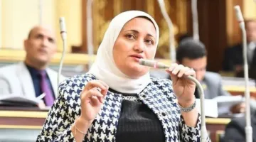 «أنقذوا الشعب ليغفر لكم الله».. نائبة برلمانية تسأل الحكومة عن الإهمال في الطرق عقب حادث المنوفية