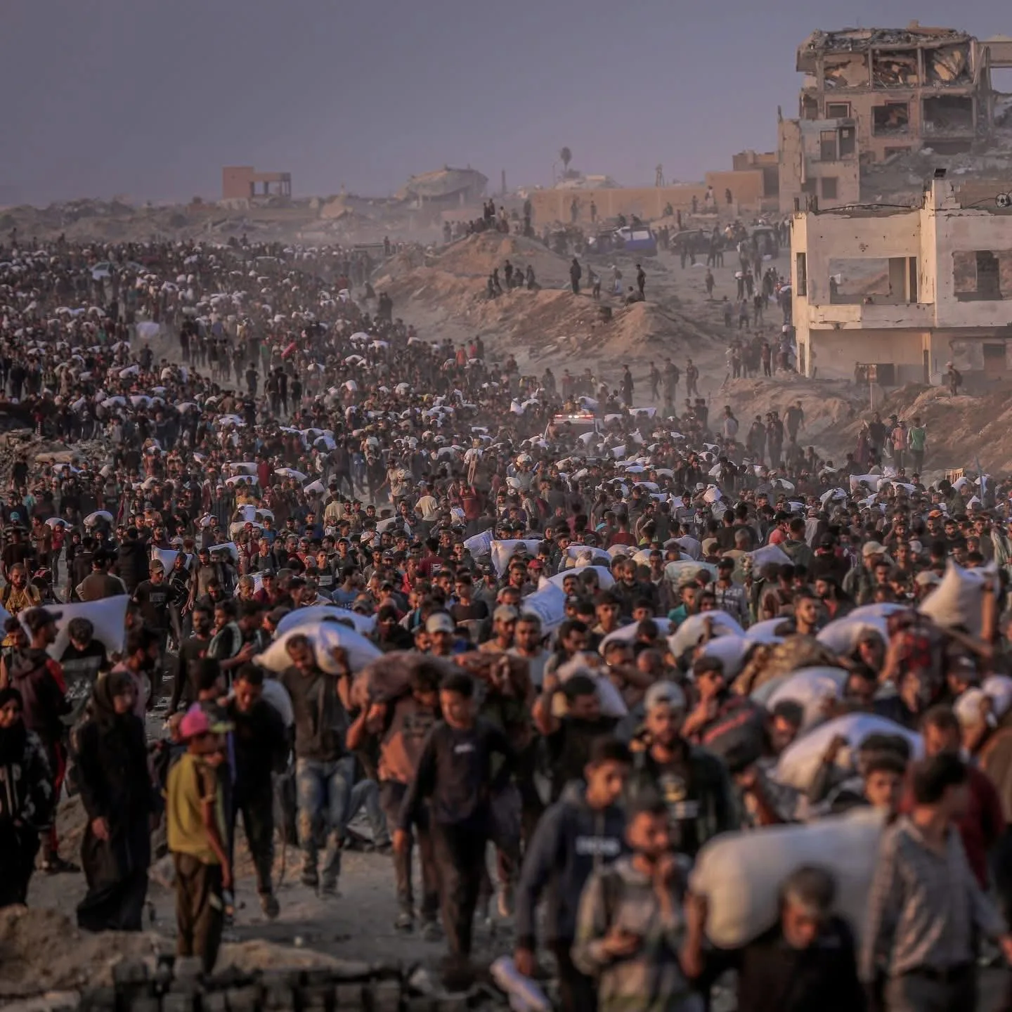 أهالي غزة يتخلصون من مدخراتهم الذهبية للهروب من حرب الجوع أهالي غزة يتخلصون من مدخراتهم الذهبية للهروب من حرب الجوع