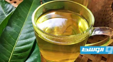 أوراق المانجو: هدية طبيعية تعزز الصحة وتقي من الأمراض