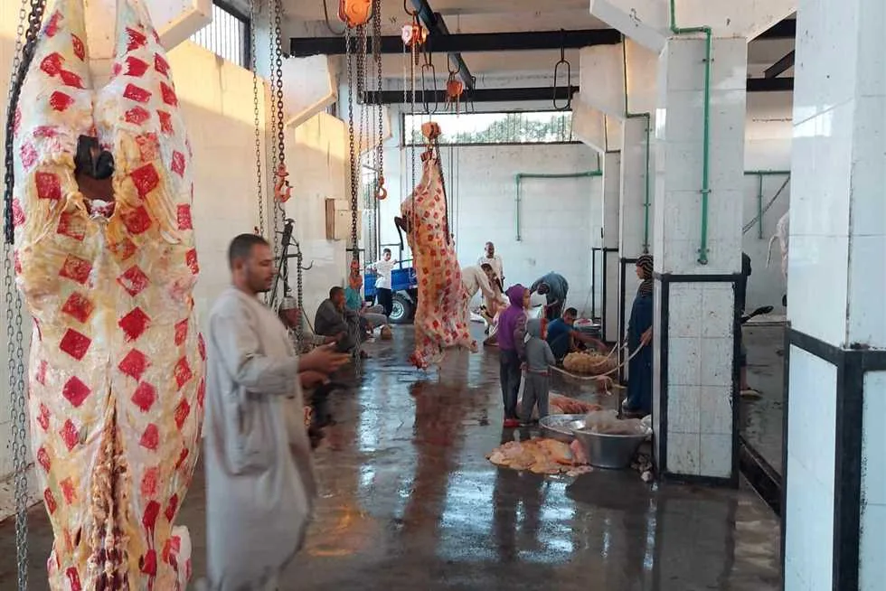 إجراء المجازر لذبح الأضاحي في اليوم الأول من العيد في المنيا