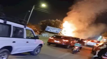 إخماد حريق في أشجار شارع محمد علي بالإسماعيلية