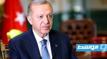 إردوغان: لإيران الحق في الدفاع عن نفسها ضد الاعتداءات الإسرائيلية