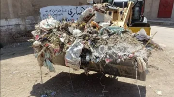 إزالة 100 طن من النفايات في سوهاج ضمن مبادرات تعزيز البيئة والخدمات